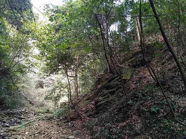 以撒的结合：胎衣