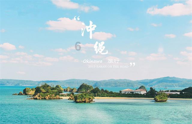 有趣的动物拼图